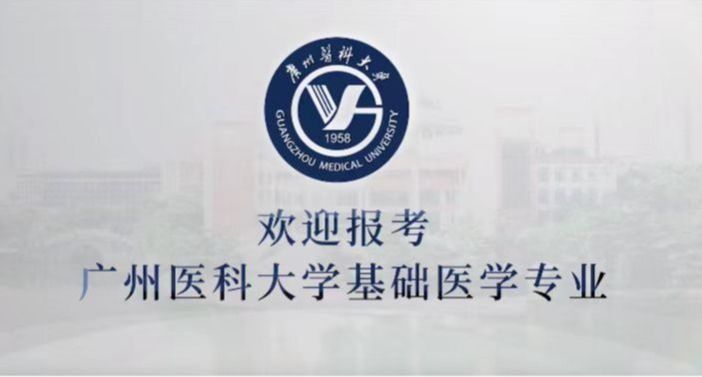 麻豆av
宣传片